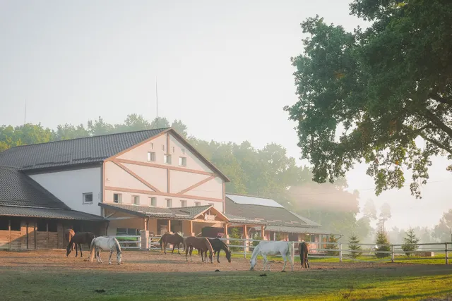 Kompleks Vidpochynku "Sokil"