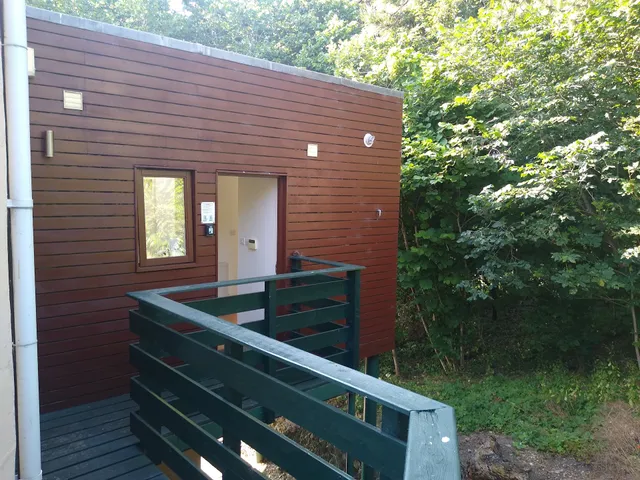 The Treehouse at St. Francis Grange