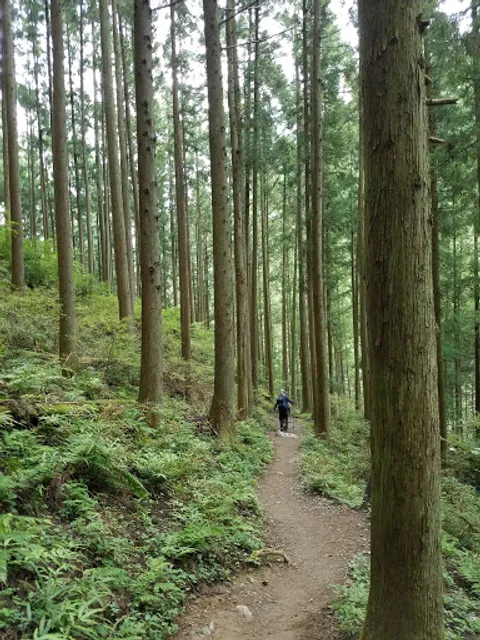 Shiratanisawa Trailhead