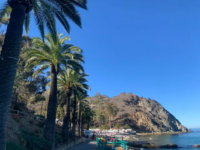 Chill at Descanso Beach Club