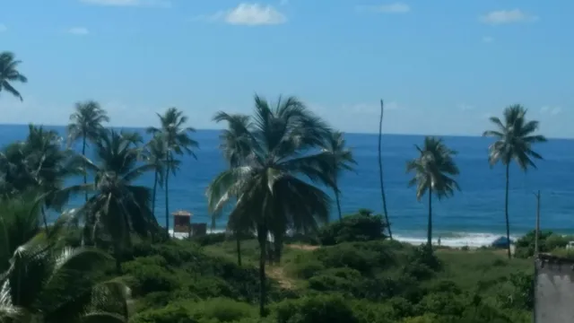 Kit net Carlotta Apartmentos