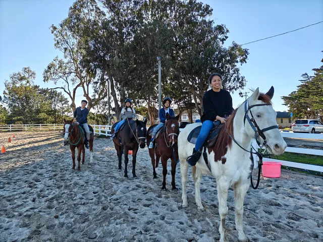 Marina Equestrian Center Park
