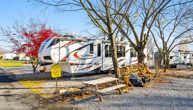 Mountain Springs Camping Resort