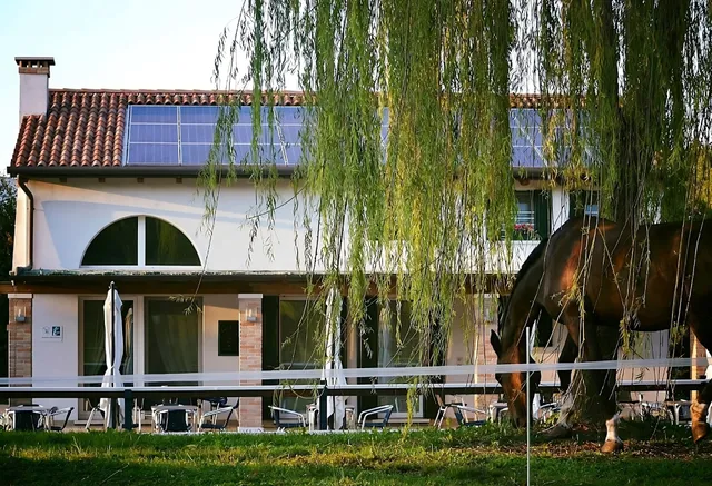 Agriturismo dei Ciliegi