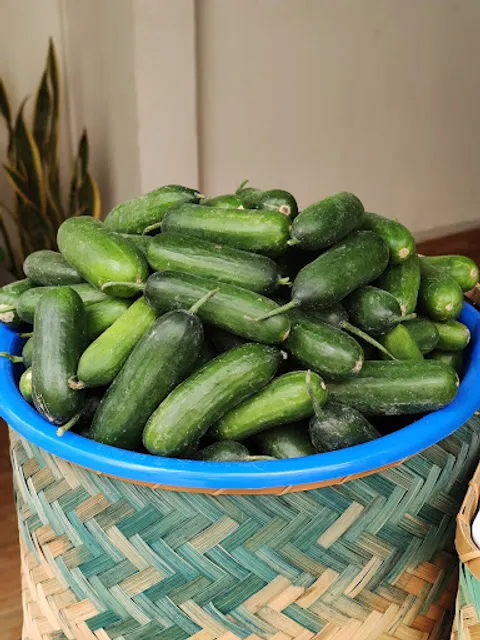 Bướm House - juice & food