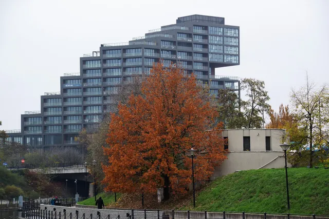 Dream Team Nordic Haven