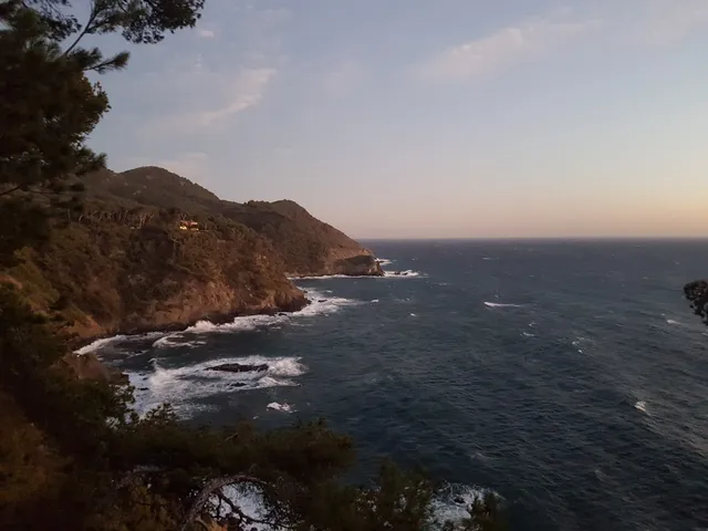 Domaine du Pin de la Lègue