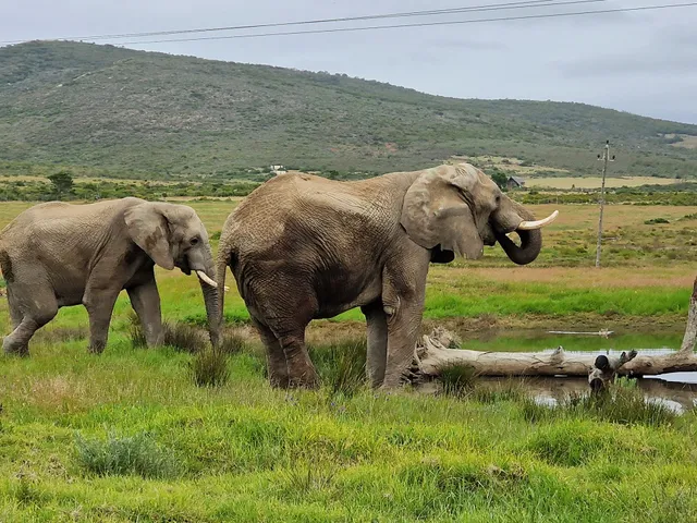 Maîté Iphupho Travel Agent