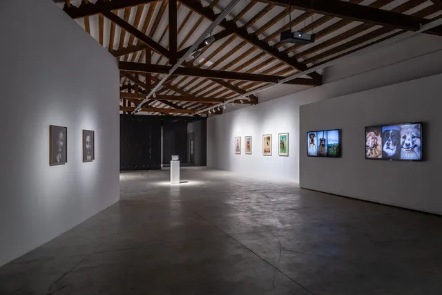 LA BIBI + REUS COUNTRY Gallery