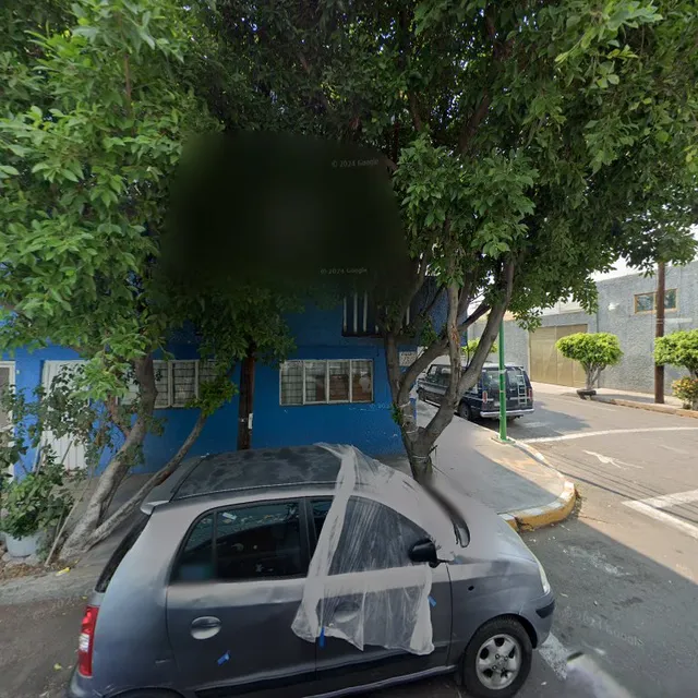 Organización de Wushu SheLung En México