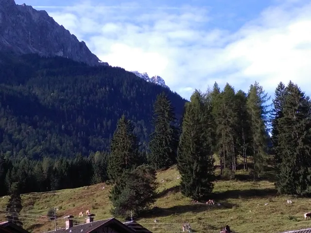 Ferienwohnung Sylvia Kral