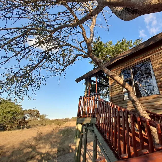 Pezulu Tree House Lodge