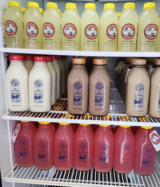 The Jars Trading Post