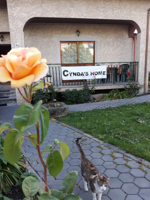 Cynda´s home