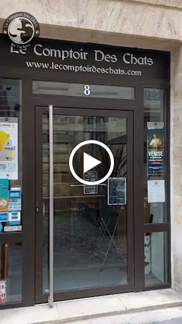 Le Comptoir Des Chats (enfants à partir de 10 ans)