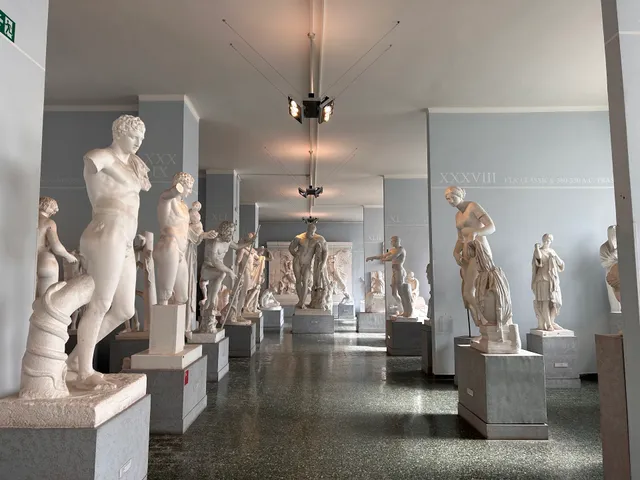 Museum Of Classical Art Sapienza University Of Rome