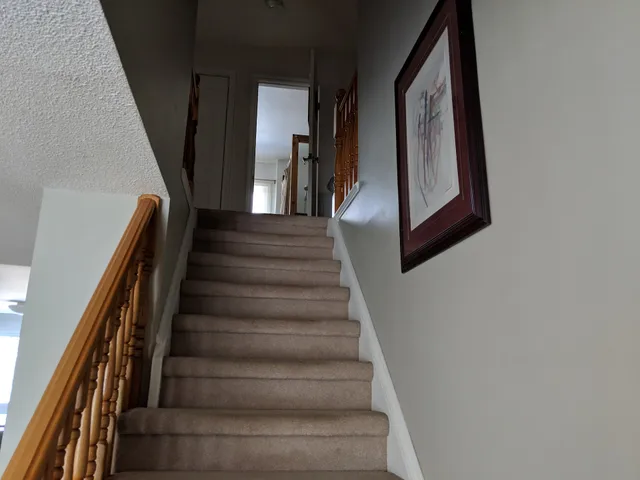 The Hive Centre and Stay