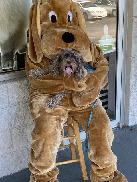 Pet Laundry Dog grooming Self Service Dog Wash