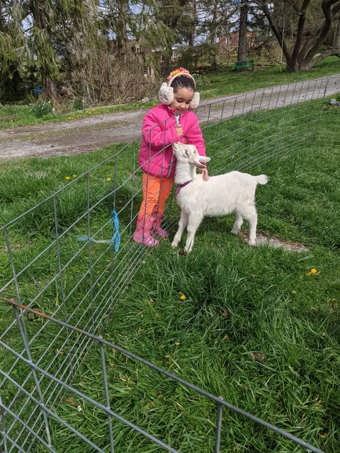 Hospitality Spring Farm and Gardens