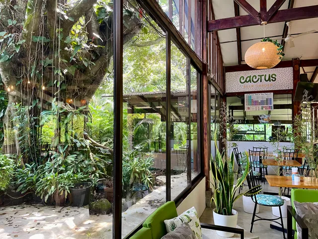 Cactus Beer Garden by Dirigo Fermentory