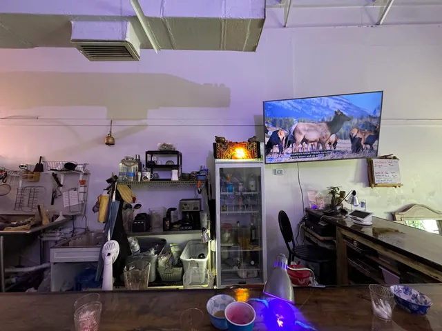 Rock and Root tea/kava house and wellness lounge