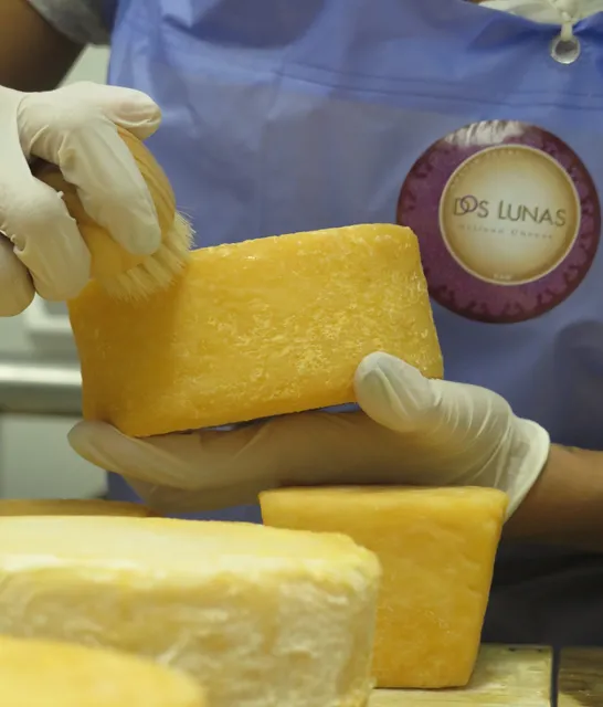 Dos Lunas Artisan Cheese