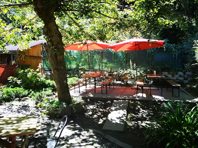 Trattoria Crotto Montepiatto 610