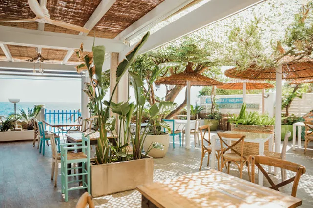 L'Eriçó Del Trampolí