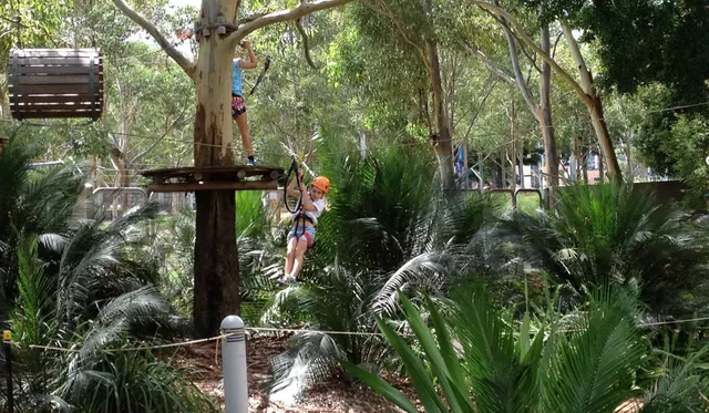Urban Jungle Adventure Park