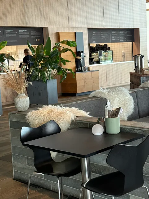 Caféen på Moesgaard Museum