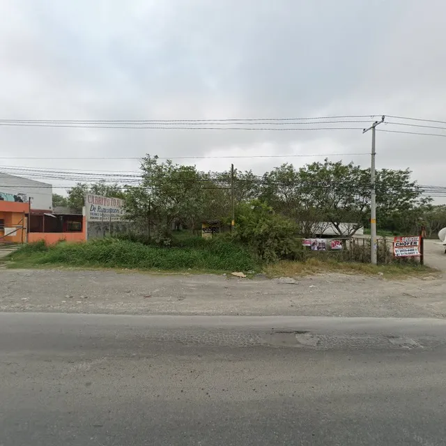 Cabrito de ramones a teran