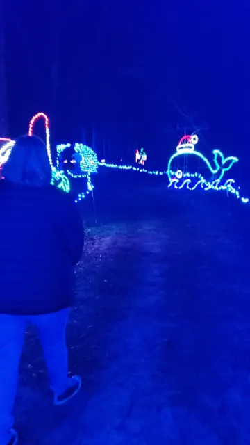 Bonnie Bay Blueberry Farm