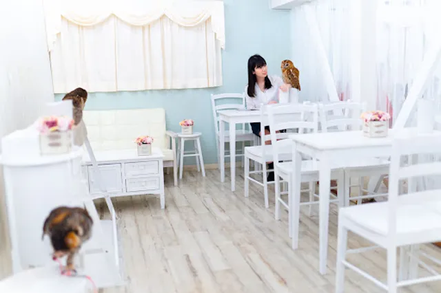 Owl Cafe Tokyo