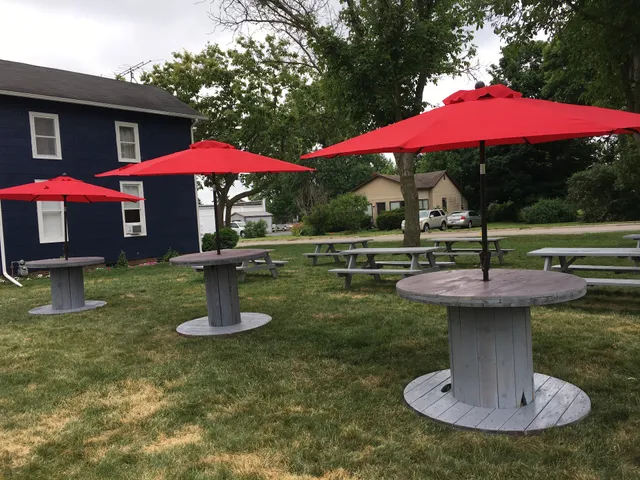 The Frozen Spoon, LLC