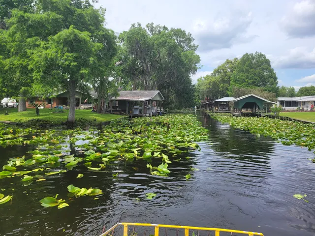 Georgia Boys Fish Camp