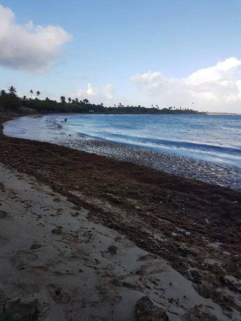 Parque Nacional Bosque Punta Salinas