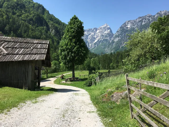 Robanova planšarija, Franjo Roban - Nosilec dopolnilne dejavnosti na kmetiji