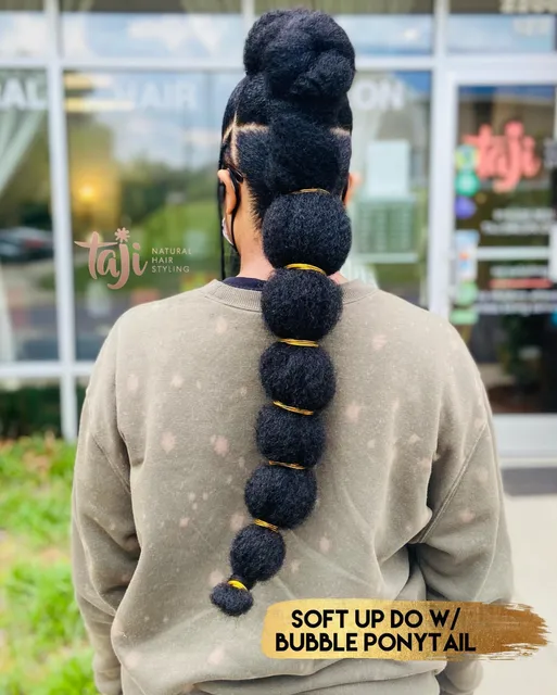 Taji Natural Hair Styling- Raleigh