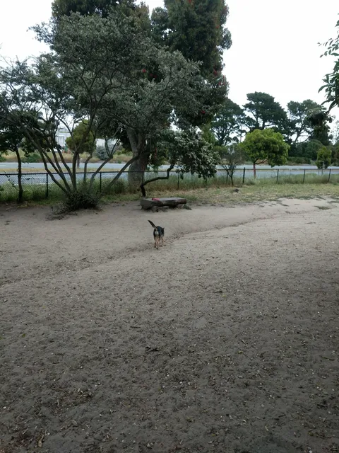 Brotherhood & Alemany Dog Play Area