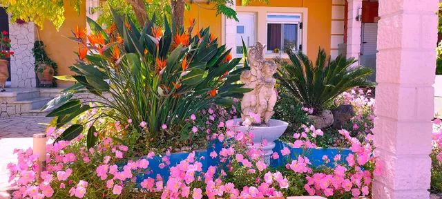 Iris apartment near Corfu town