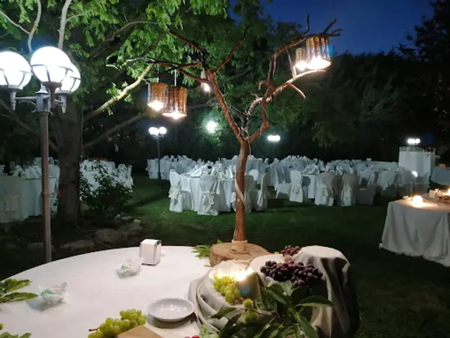 Filici di Paolino Scibetta