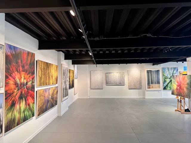 O'CONNELL GALLERY