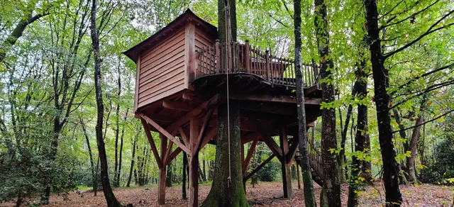 In paradise fruit - Sophie's follies