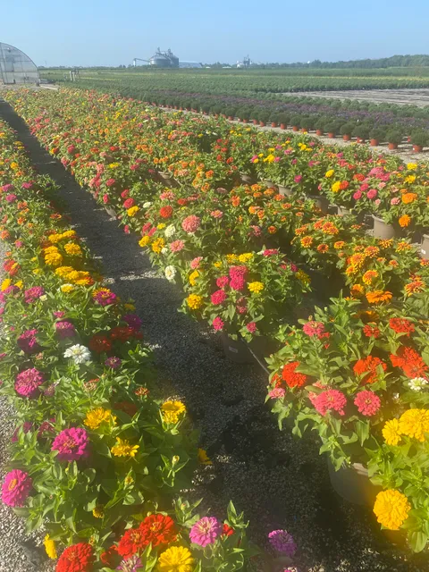 Matheny Farm & Greenhouses