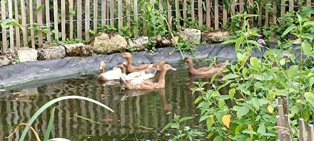 Au Moulin des Délices