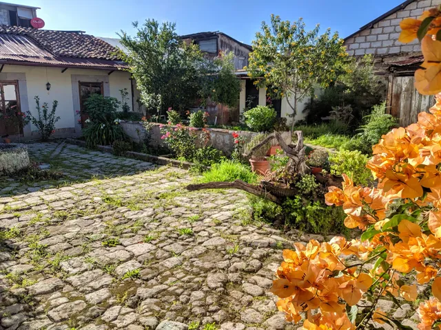 Chocolate San Sebastián