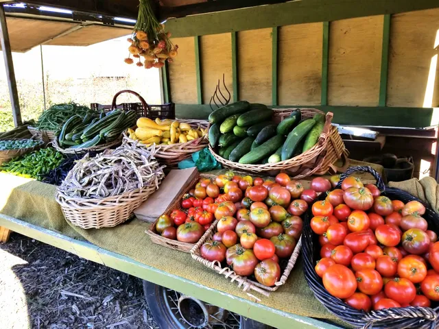 Lonely Mountain Farm