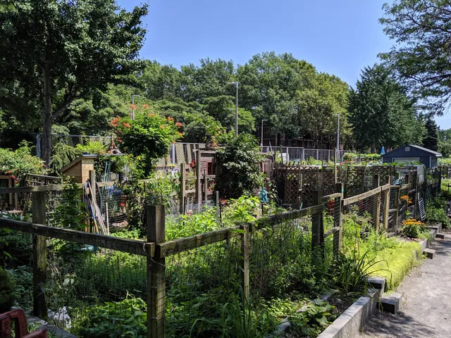 Berkeley Community Garden