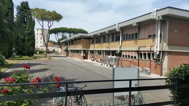 Dipartimento di Scienze Veterinarie, Università di Pisa