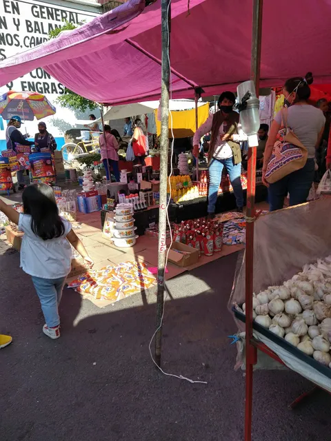 Tianguis Pensador Mexicano Martes